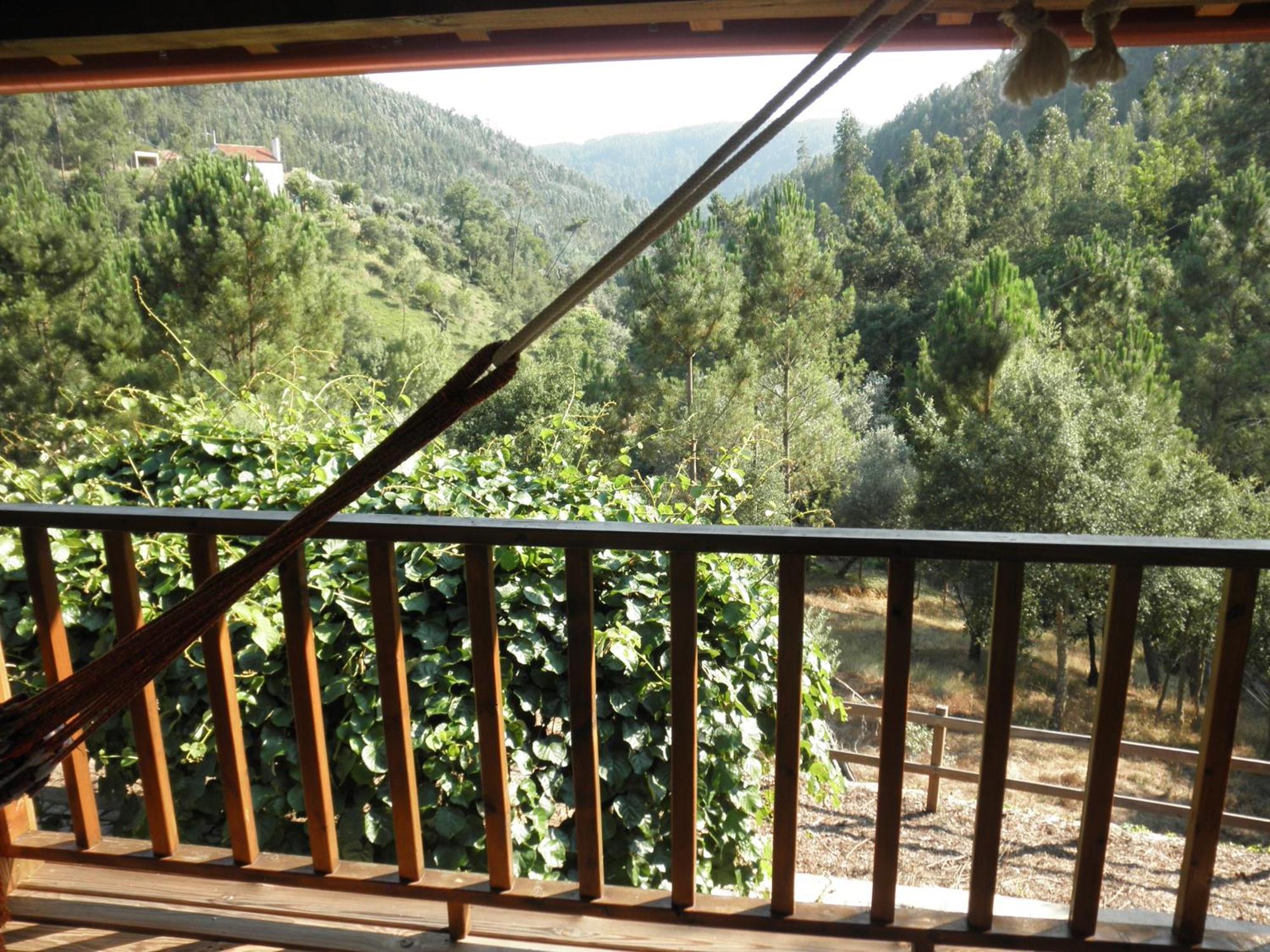 Casa Velha Villa Figueiro Dos Vinhos Exterior foto